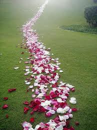 Chemin de roses