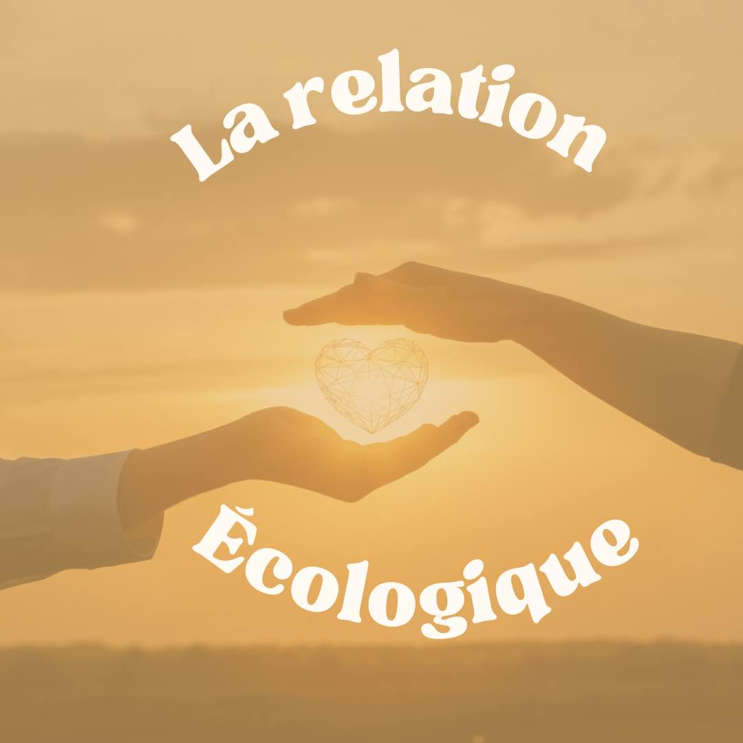 La relation écologique, de la relation toxique à la relation nourrissante