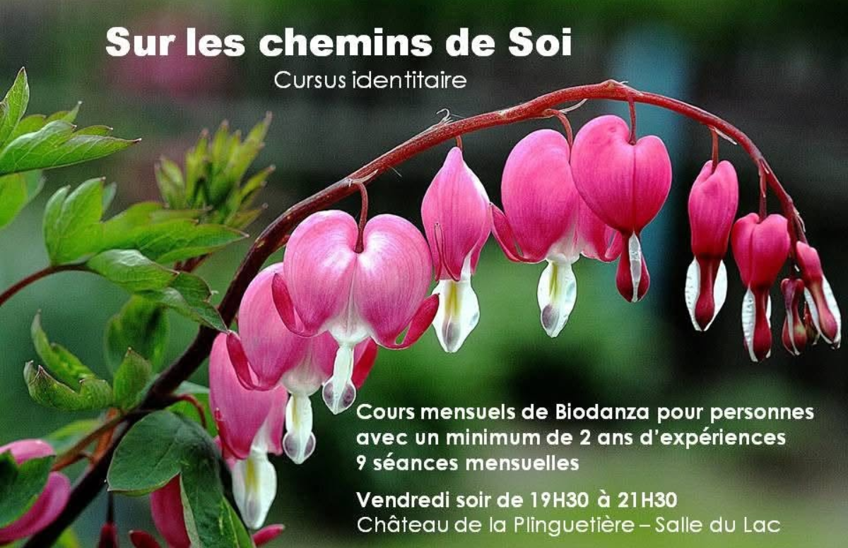 Mensuel Approfondissement