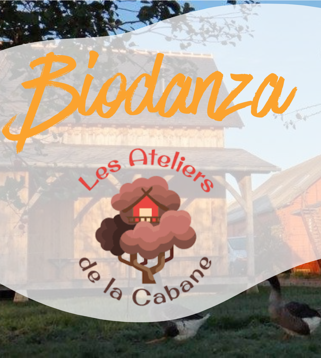 Les ateliers du dimanche