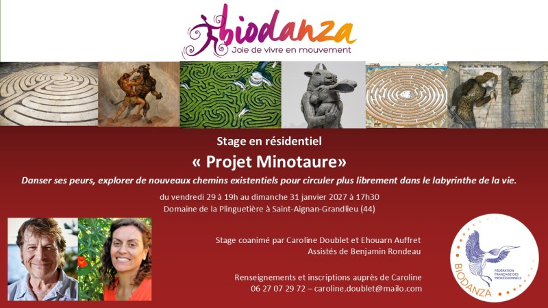 Stage "Projet Minotaure"