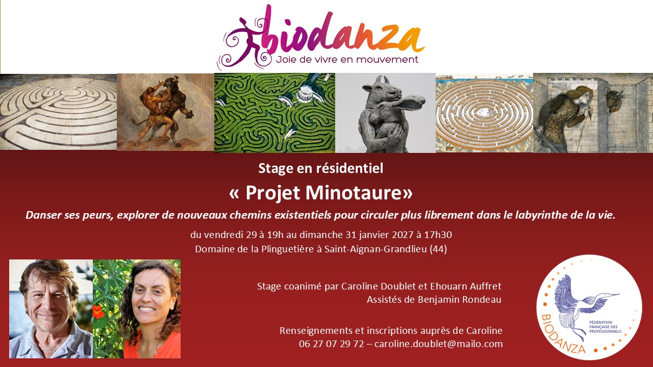 Stage "Projet Minotaure"