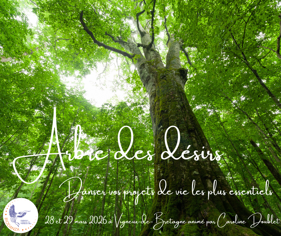 Stage "Arbre des désirs"