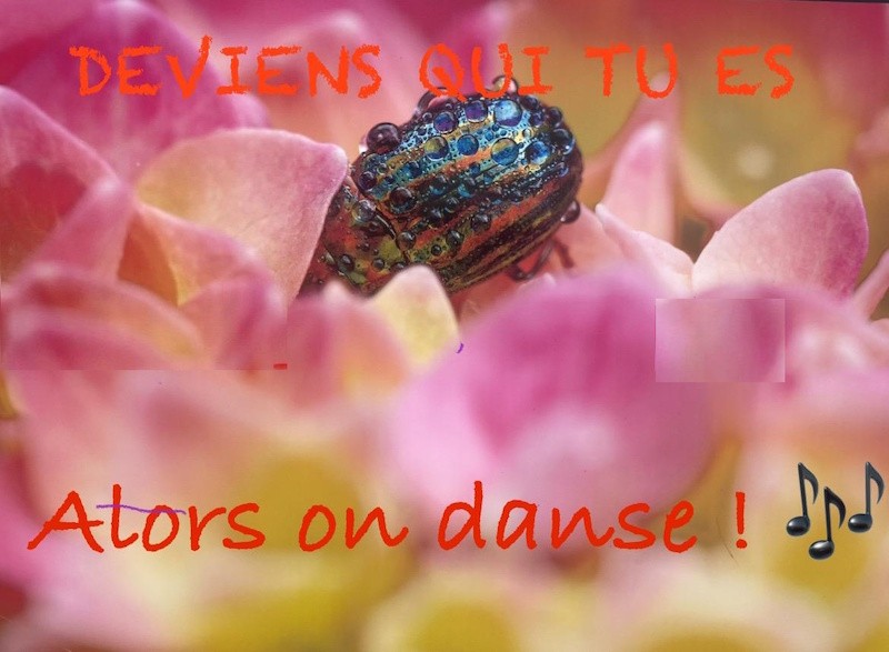 Alors on danse !