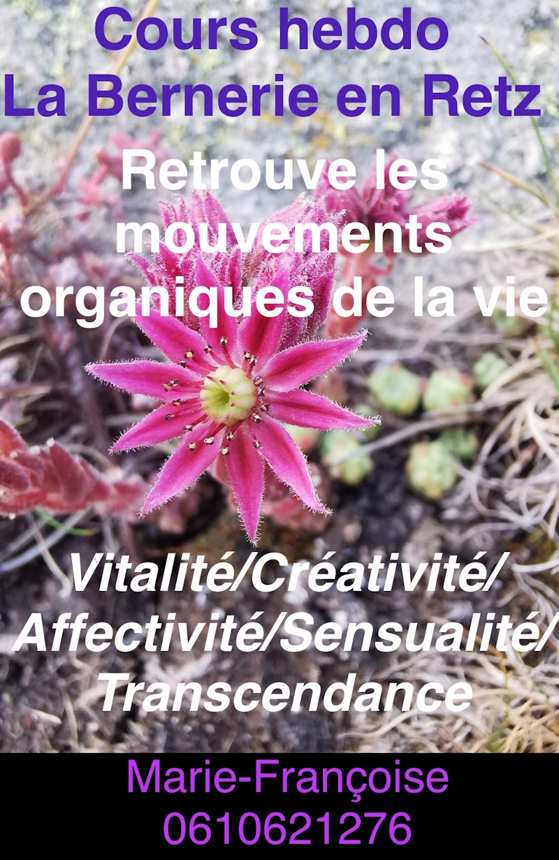 Cours Bernerie 800