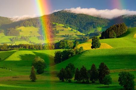 Une image contenant nature, arc-en-ciel, herbe, plein airLe contenu g n r  par l IA peut  tre incorrect.