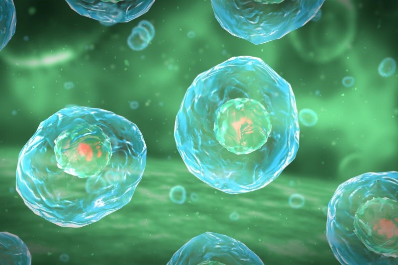 Biodanza Aquatique et Alchimie des Éléments