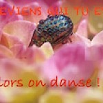 Alors on danse !
