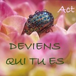 Prefailles